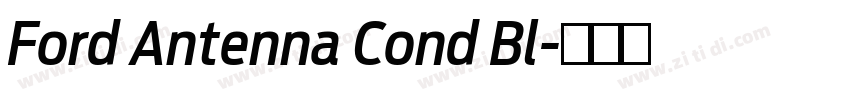 Ford Antenna Cond Bl字体转换